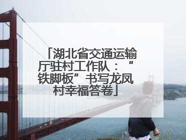 湖北省交通运输厅驻村工作队：“铁脚板”书写龙凤村幸福答卷