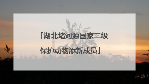 湖北堵河源国家二级保护动物添新成员