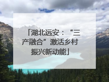 湖北远安：“三产融合”激活乡村振兴新动能