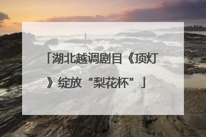 湖北越调剧目《顶灯》绽放“梨花杯”
