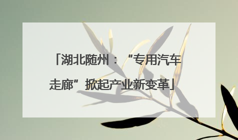 湖北随州：“专用汽车走廊”掀起产业新变革