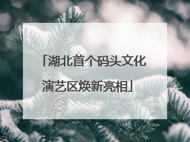 湖北首个码头文化演艺区焕新亮相