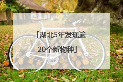 湖北5年发现逾20个新物种
