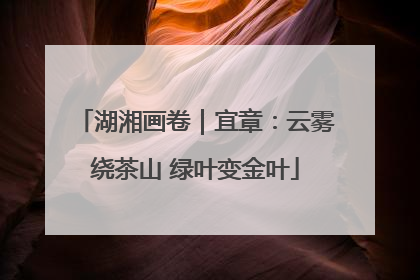 湖湘画卷｜宜章：云雾绕茶山 绿叶变金叶
