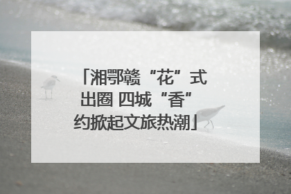 湘鄂赣“花”式出圈 四城“香”约掀起文旅热潮