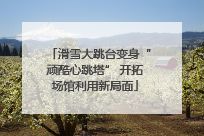 滑雪大跳台变身“顽酷心跳塔” 开拓场馆利用新局面