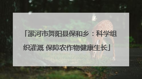 漯河市舞阳县保和乡：科学组织灌溉 保障农作物健康生长
