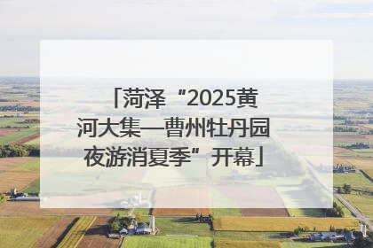 菏泽“2025黄河大集—曹州牡丹园夜游消夏季”开幕