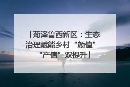 菏泽鲁西新区：生态治理赋能乡村“颜值”“产值”双提升