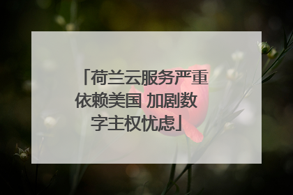 荷兰云服务严重依赖美国 加剧数字主权忧虑
