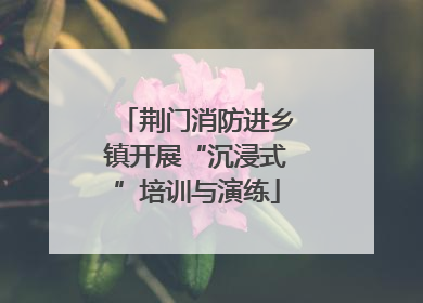 荆门消防进乡镇开展“沉浸式”培训与演练