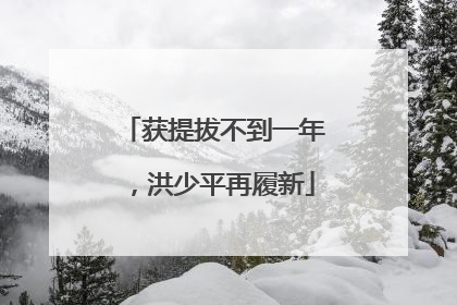 获提拔不到一年，洪少平再履新