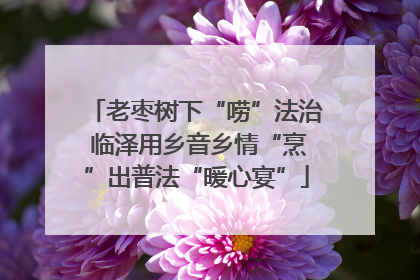 老枣树下“唠”法治 临泽用乡音乡情“烹”出普法“暖心宴”
