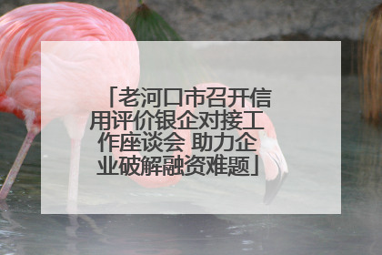 老河口市召开信用评价银企对接工作座谈会 助力企业破解融资难题