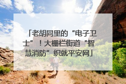 老胡同里的“电子卫士”！大栅栏街道“智慧消防”织就平安网