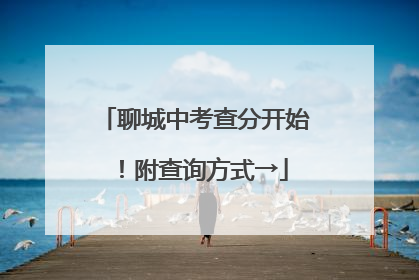 聊城中考查分开始！附查询方式→