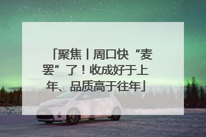 聚焦丨周口快“麦罢”了！收成好于上年、品质高于往年