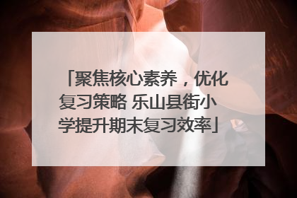 聚焦核心素养，优化复习策略 乐山县街小学提升期末复习效率