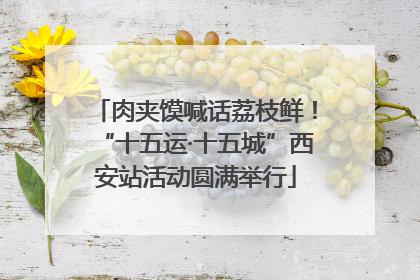 肉夹馍喊话荔枝鲜！“十五运·十五城”西安站活动圆满举行