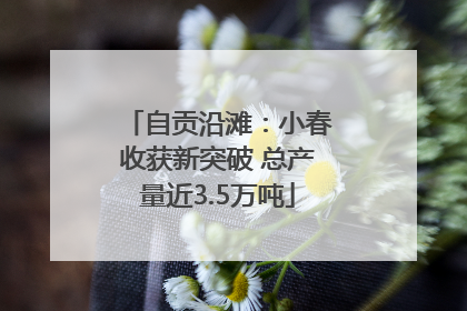 自贡沿滩：小春收获新突破 总产量近3.5万吨