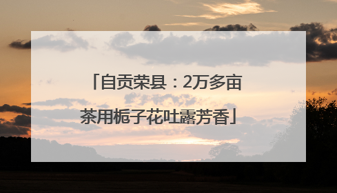自贡荣县：2万多亩茶用栀子花吐露芳香