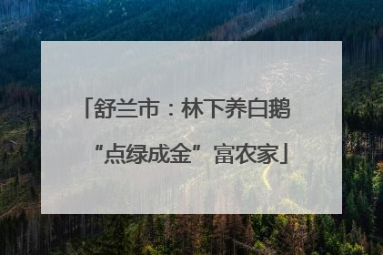 舒兰市：林下养白鹅 “点绿成金”富农家
