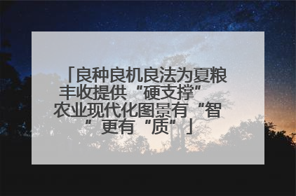 良种良机良法为夏粮丰收提供“硬支撑” 农业现代化图景有“智”更有“质”