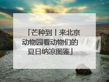 芒种到丨来北京动物园看动物们的夏日纳凉图鉴