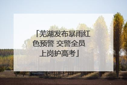 芜湖发布暴雨红色预警 交警全员上岗护高考