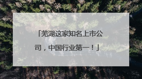 芜湖这家知名上市公司，中国行业第一！