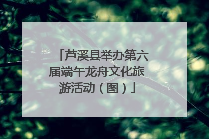 芦溪县举办第六届端午龙舟文化旅游活动（图）