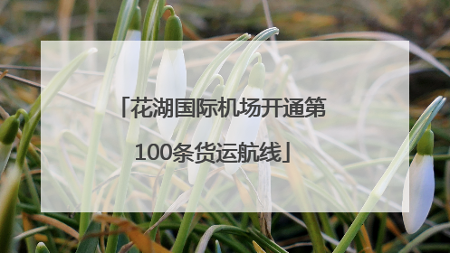 花湖国际机场开通第100条货运航线