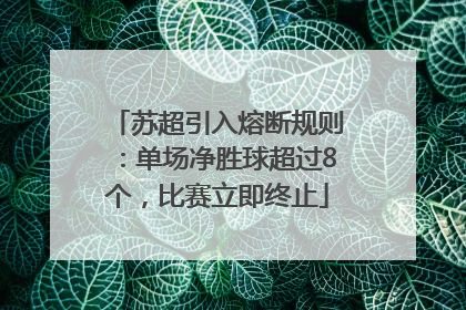 苏超引入熔断规则：单场净胜球超过8个，比赛立即终止