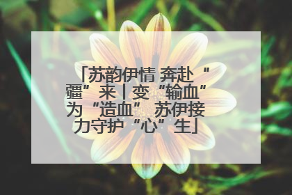 苏韵伊情 奔赴“疆”来丨变“输血”为“造血” 苏伊接力守护“心”生