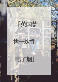 英国禁售一次性电子烟