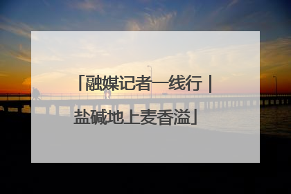 融媒记者一线行｜盐碱地上麦香溢