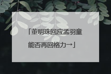 董明珠回应孟羽童能否再回格力→