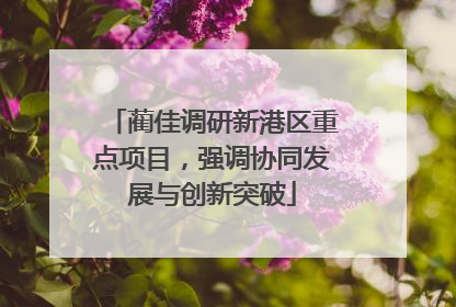 蔺佳调研新港区重点项目，强调协同发展与创新突破