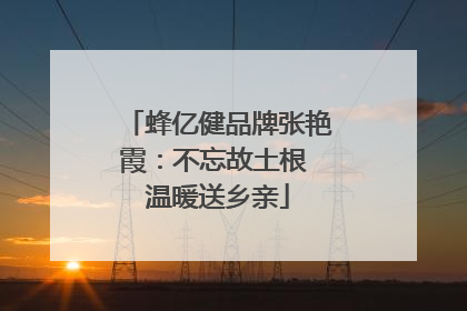 蜂亿健品牌张艳霞：不忘故土根 温暖送乡亲