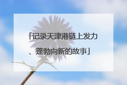 记录天津港链上发力、蓬勃向新的故事