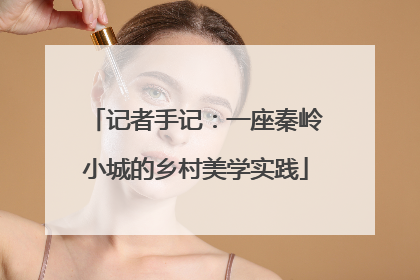 记者手记：一座秦岭小城的乡村美学实践