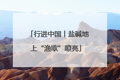 行进中国丨盐碱地上“渔歌”嘹亮