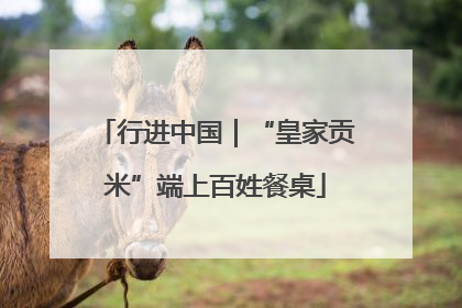 行进中国｜“皇家贡米”端上百姓餐桌
