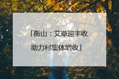 衡山：艾草迎丰收 助力村集体增收
