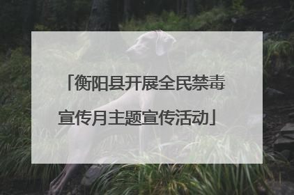 衡阳县开展全民禁毒宣传月主题宣传活动