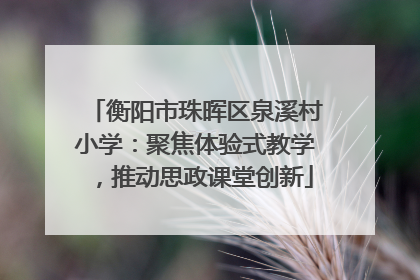 衡阳市珠晖区泉溪村小学：聚焦体验式教学，推动思政课堂创新