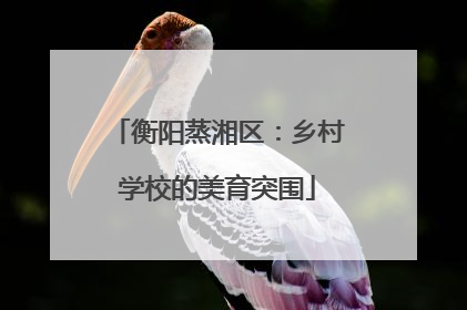 衡阳蒸湘区：乡村学校的美育突围