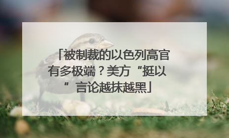 被制裁的以色列高官有多极端？美方“挺以”言论越抹越黑