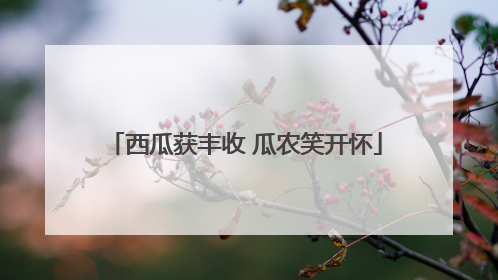 西瓜获丰收 瓜农笑开怀