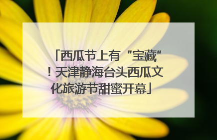 西瓜节上有“宝藏”！天津静海台头西瓜文化旅游节甜蜜开幕